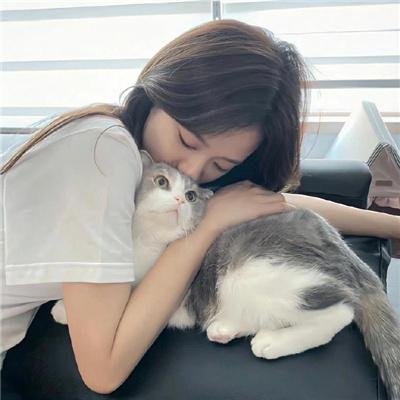 搜索并摧毁
